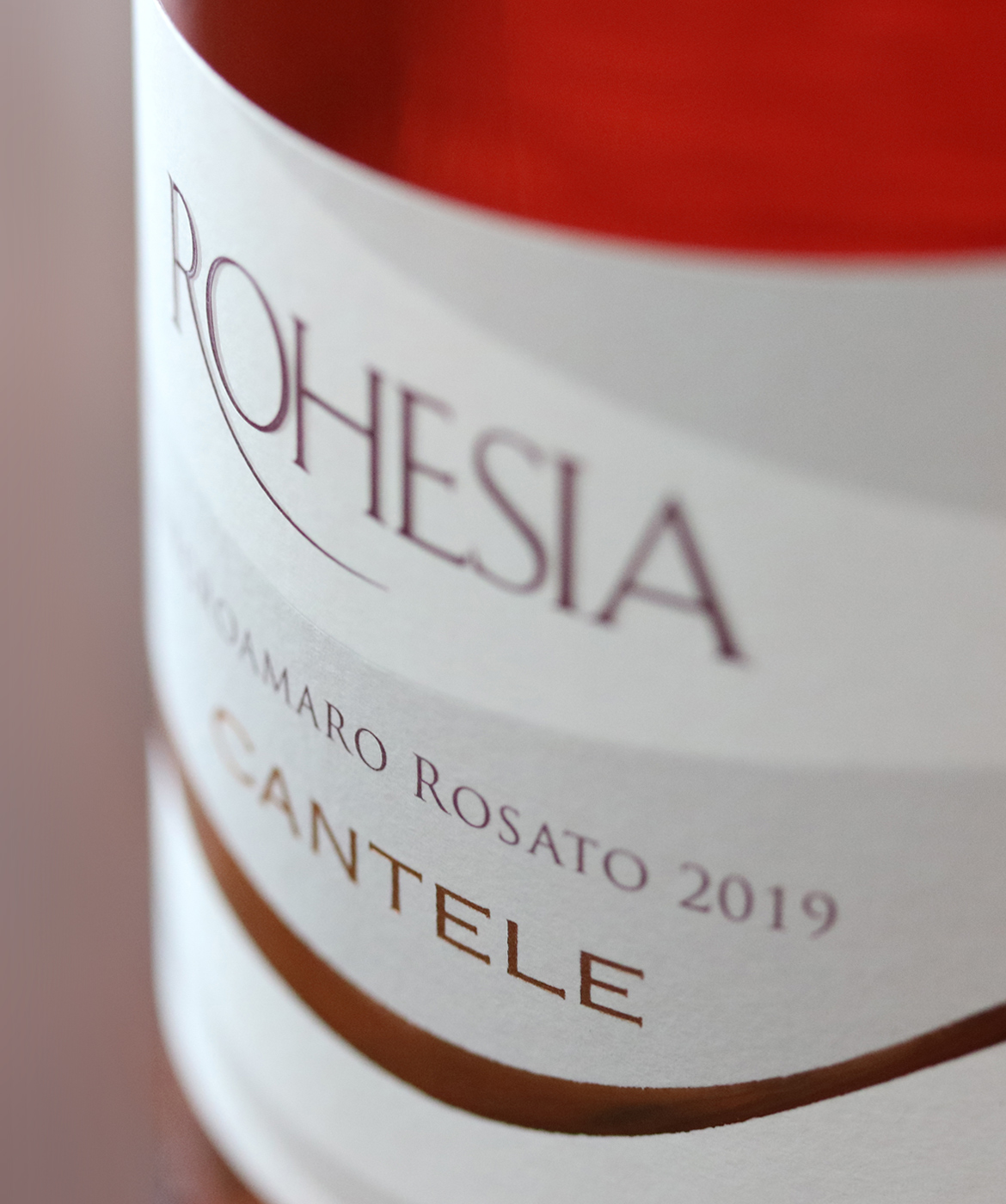 rohesia_amb05