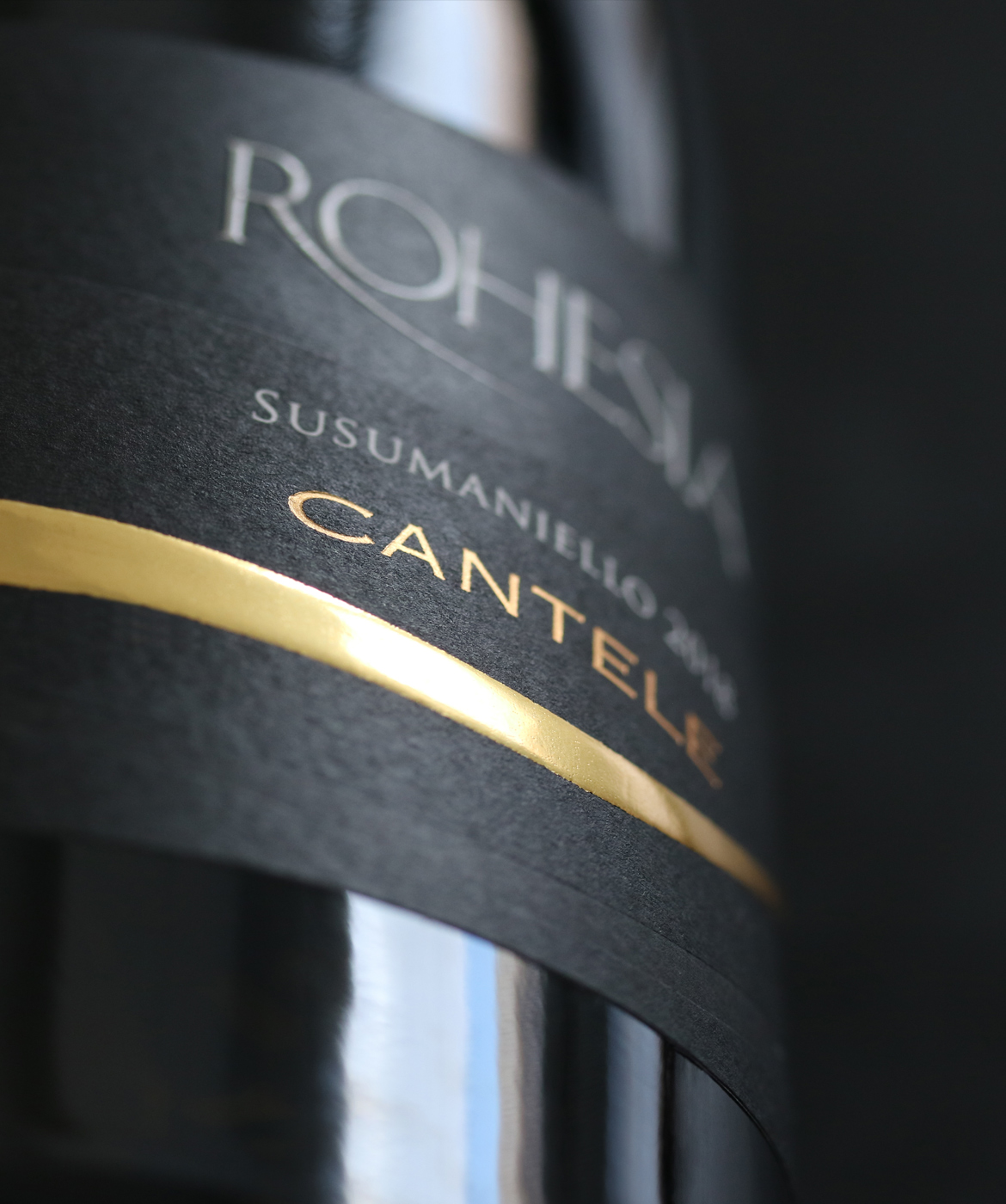 rohesia_amb02