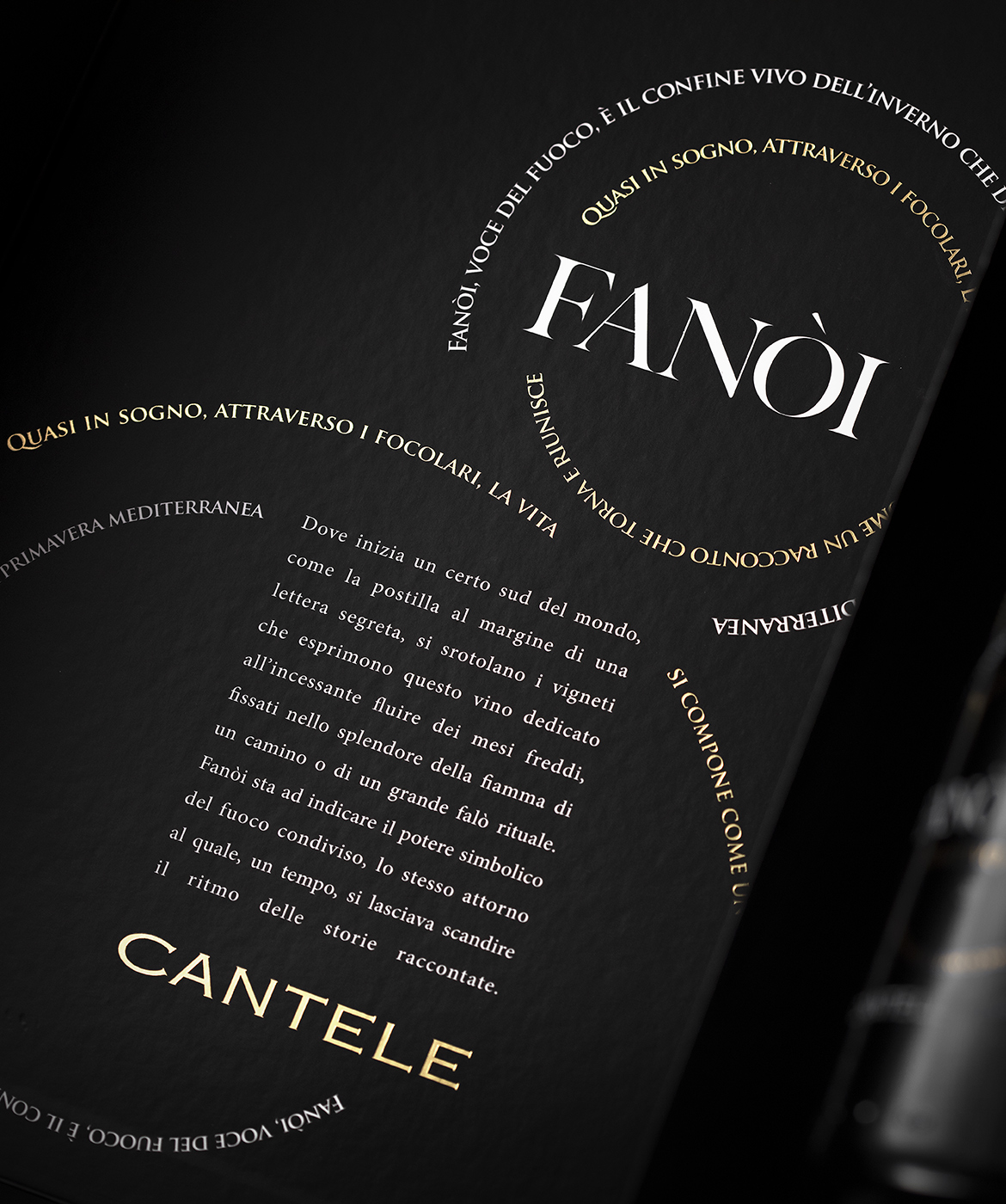 fanoi_amb02