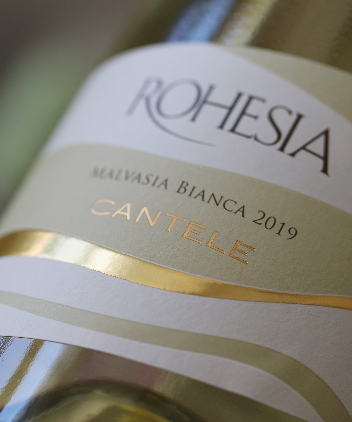 rohesia_amb06